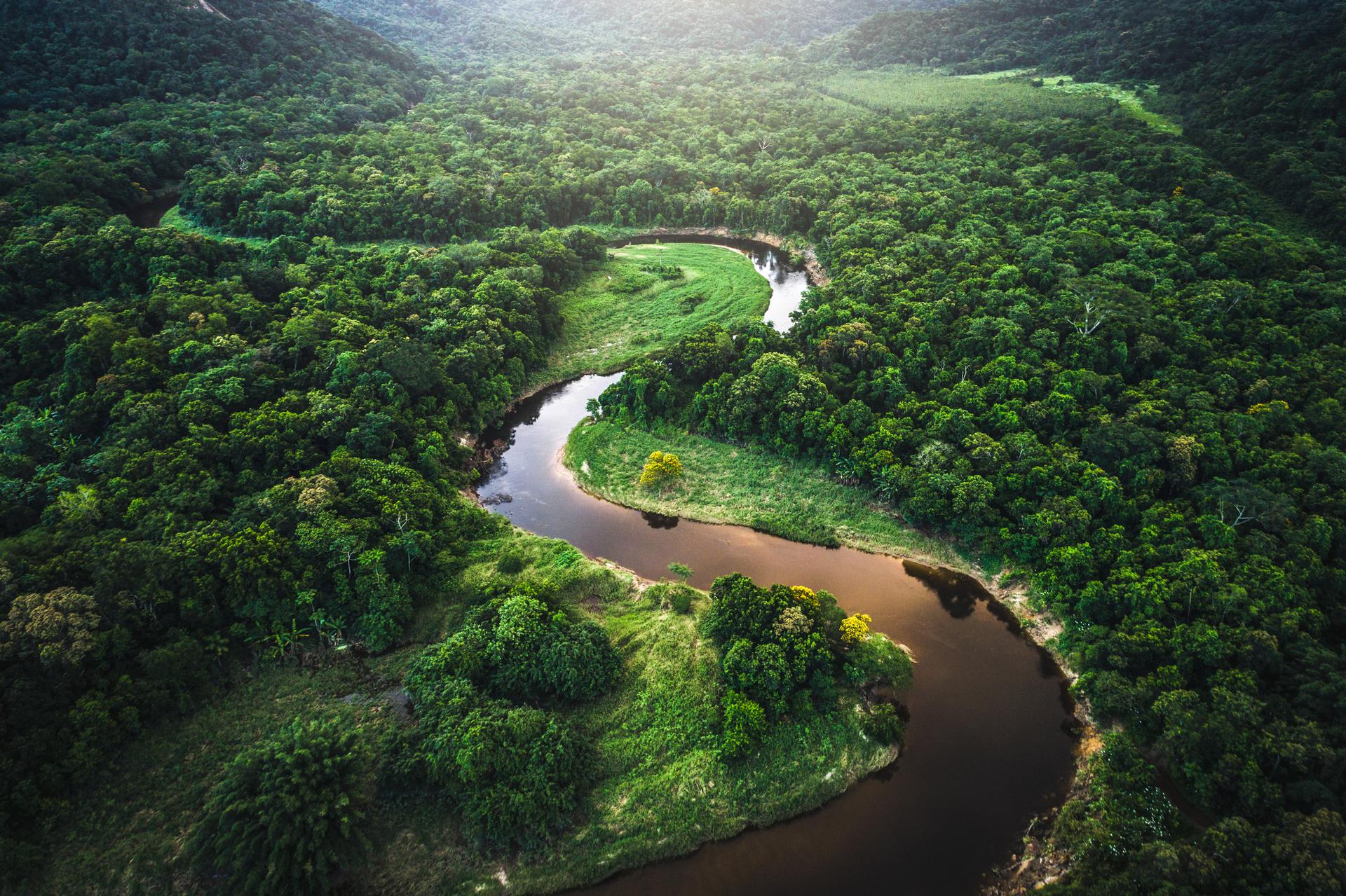 Drone view of river in Atlantic Forest in Brazil